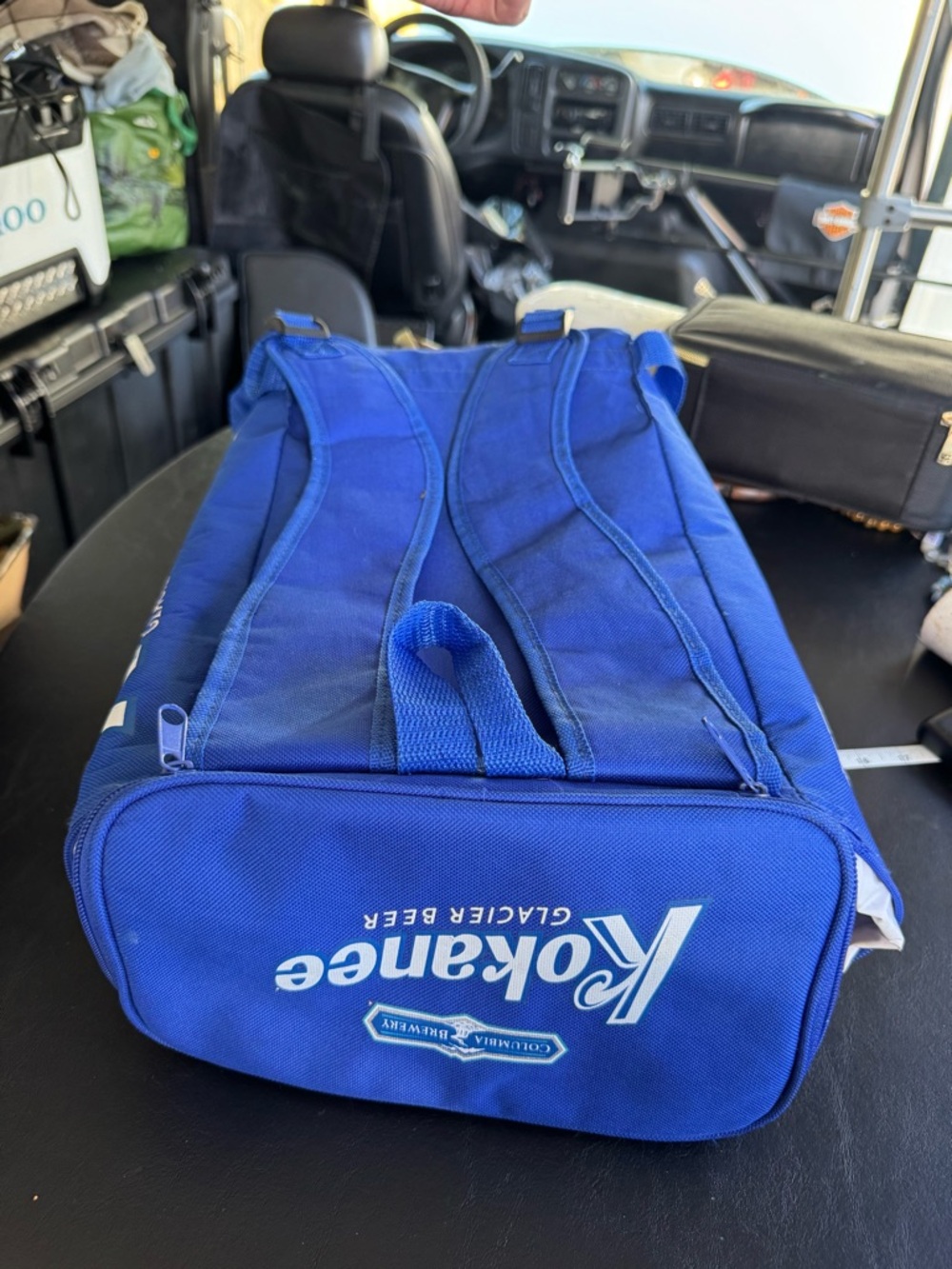 Blue Insulated Cooler Backpack - - Picture 4 of 16